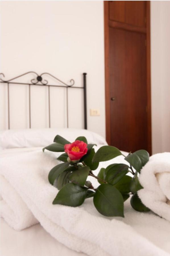 Hostal San Cristobal - Pontedeume Ngoại thất bức ảnh