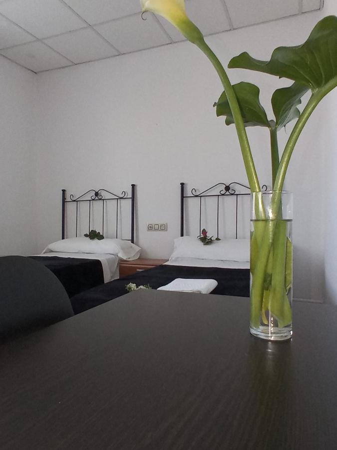 Hostal San Cristobal - Pontedeume Ngoại thất bức ảnh