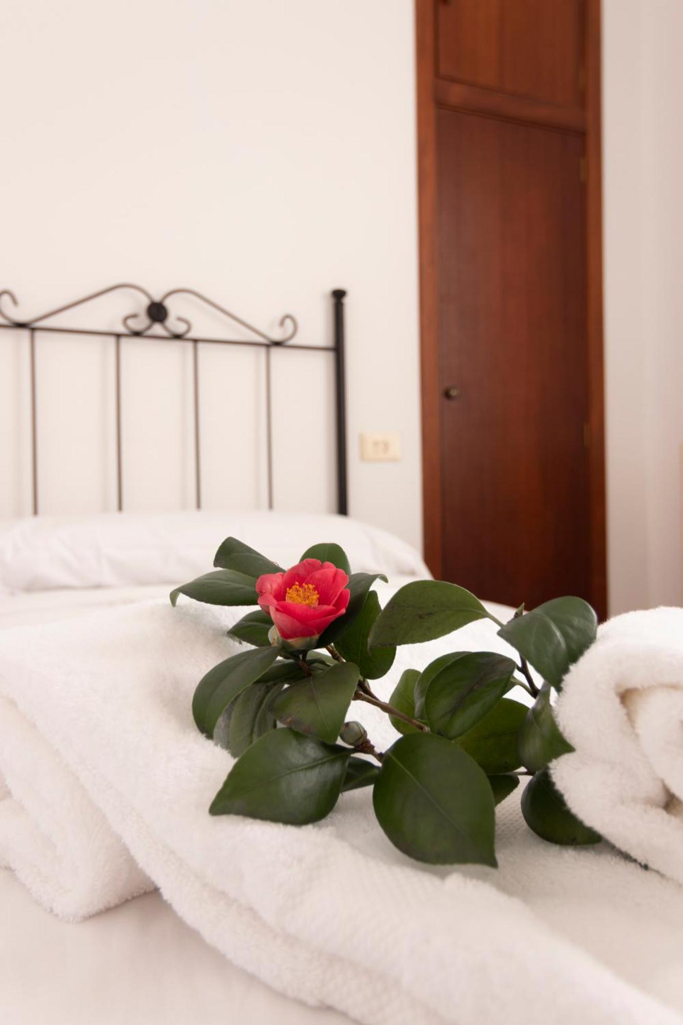 Hostal San Cristobal - Pontedeume Ngoại thất bức ảnh